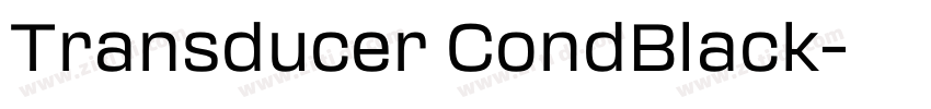 Transducer CondBlack字体转换